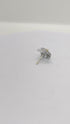 Pure Silver Yellow Colour Flowers 8g (Pack of 5)